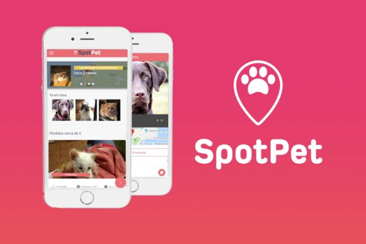 Spotpet, una aplicación colaborativa para ayudar a mascotas perdidas